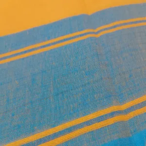 Classical Dance Practice Saree(Gold With A Blue Plain)